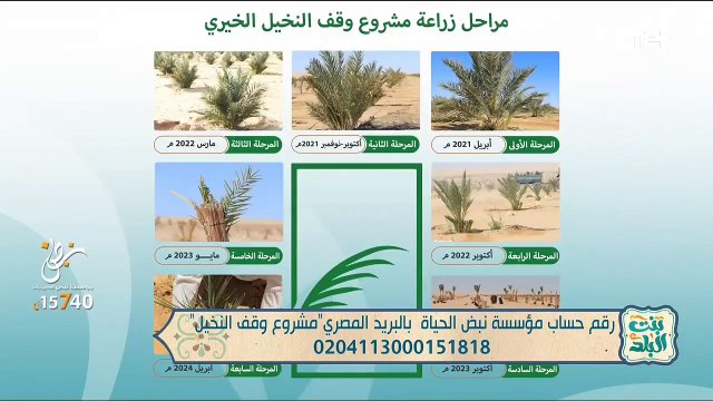 لقاء مع الشيخ محمد رضا للحديث عن أبرز جهود مؤسسة نبض الحياة | بنت البلد