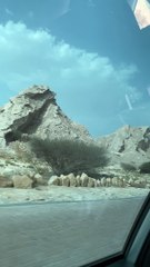 Mountain View Beautiful  City Alain 