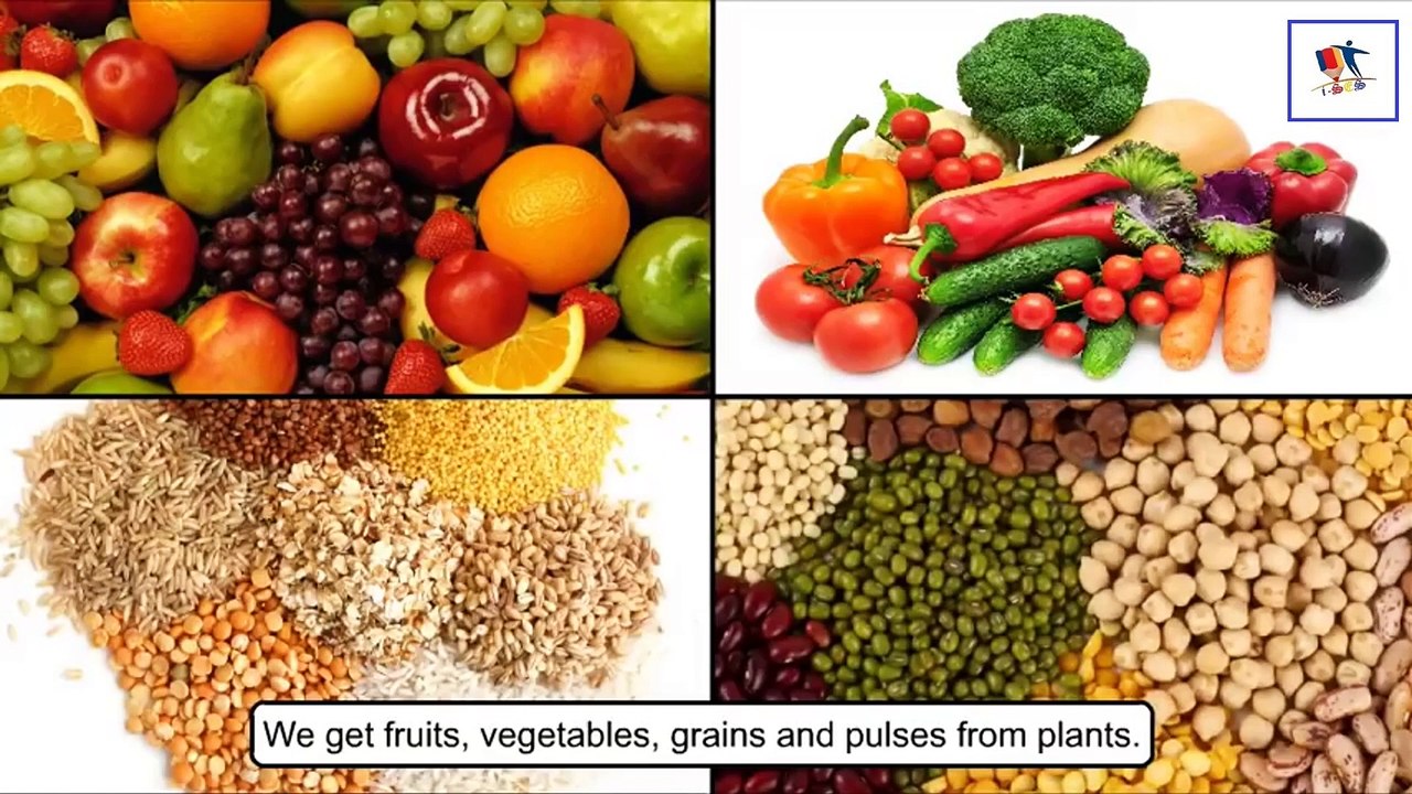 Uses Of Plants
