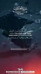 Surah Ankabut Verse 63 - Abdul Rahman Mossad عبدالرحمن مسعد - The Holy Records  _abdulrahmanmossad