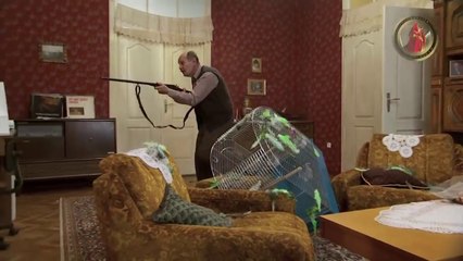 Lud zbunjen normalan epizoda 27