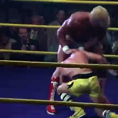 Rocky Vs Hulk Hogan