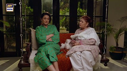 Noor Jahan Last Episode | 14 September 2024 | ARY Digitaldrama
