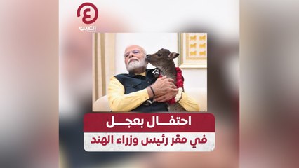 احتفال بعجل في مقر رئيس وزراء الهند