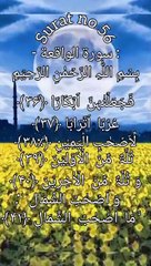 VID-20240914-WA0096