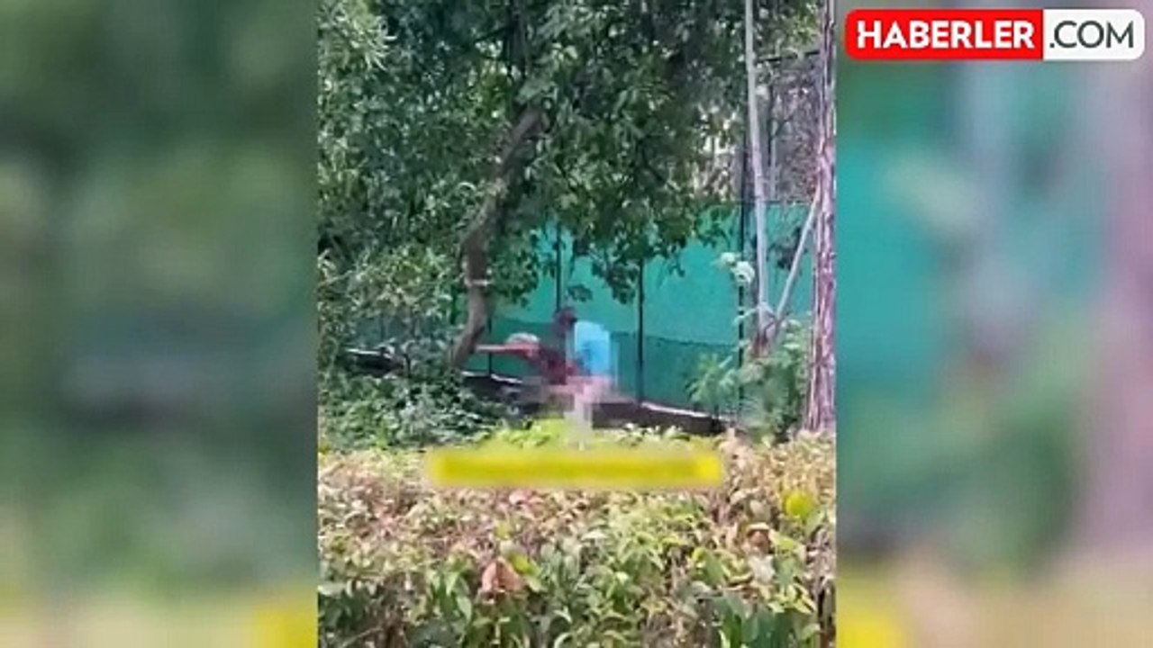 İzmirde bir rezil olay daha! Yaşlı çift, parkta kimseye aldırmadan cinsel  ilişkiye girdi