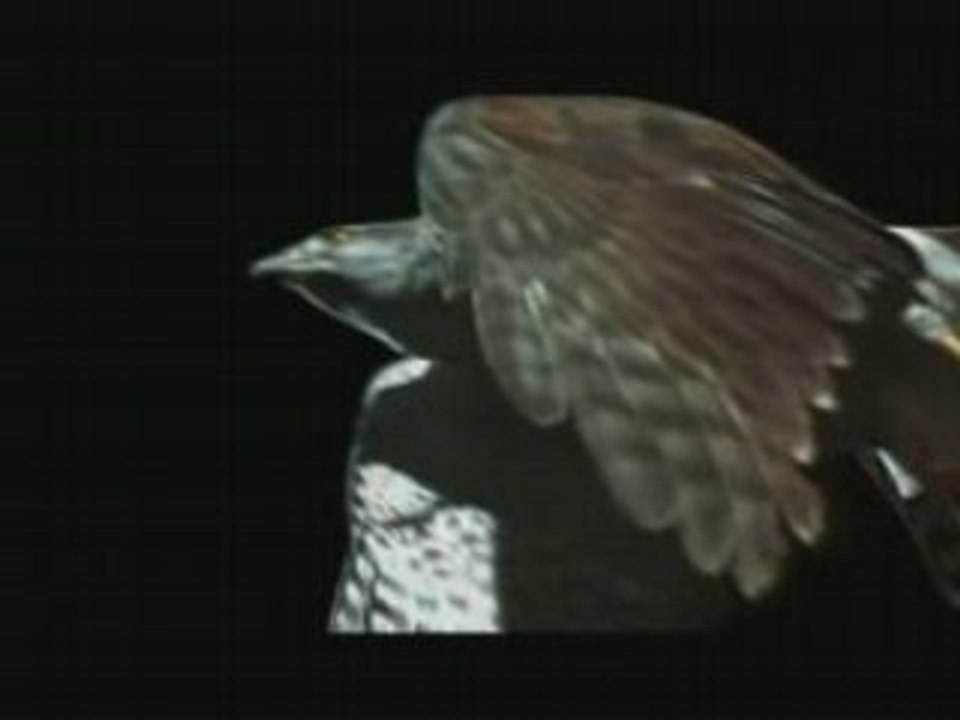 tout est dans la matiere 2 - Sc des mouvements -