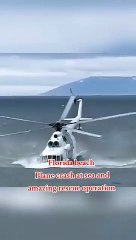 Florida Beach Plain Crash at sea