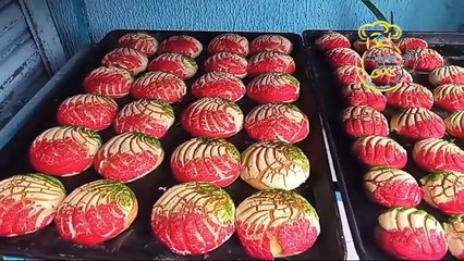 Conchas tricolores para dar el grito