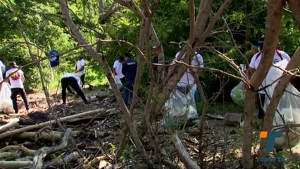 Realizan jornada de limpieza de playa en Isla Taboga