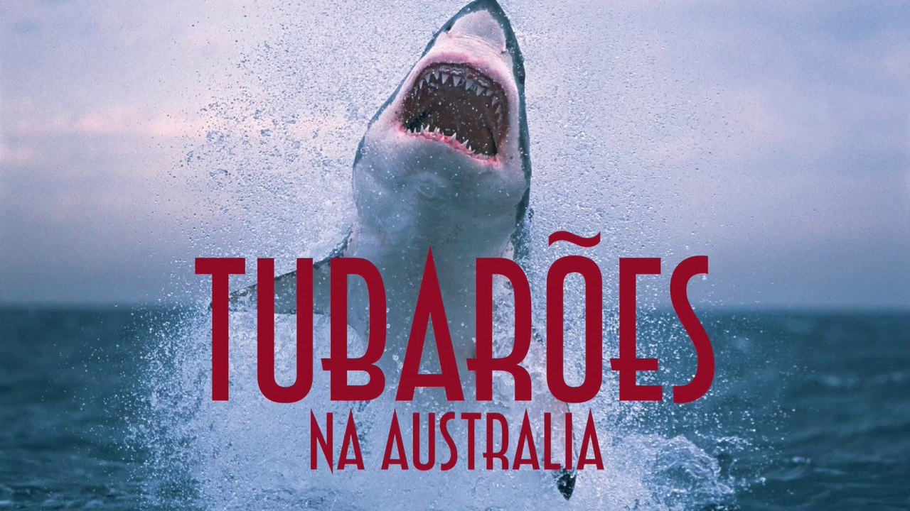 Tubarões na Australia - EMVB - Emerson Martins Video Blog 2017