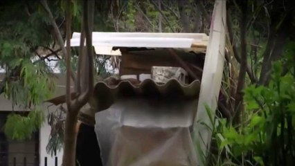 Crece la inseguridad en Bogotá por alta presencia de habitantes de calle