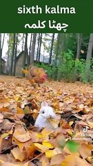 8655903120c5a2751b38539a12d4ff3a