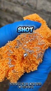 Random Facts(Korean subtitle video)