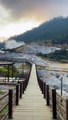 kawah Sikidang dieng Jawa Tengah