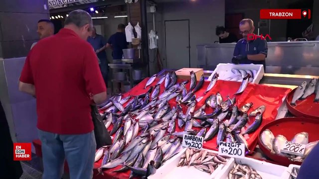 Trabzon 'da balıkçıların ağları palamutla doluyor