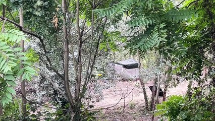 Descargar video: Tevere, degrado lungo le sponde: l'accampamento di baracche abusive sotto il ponte di corso Francia