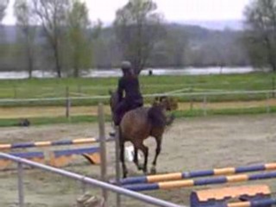 pomme hunter