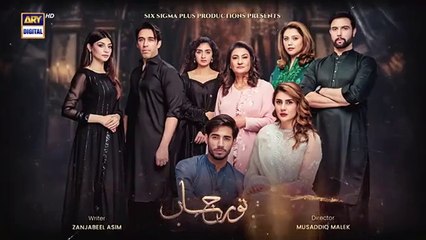 Noor Jahan Last Episode | 14 September 2024 (Eng Sub) ARY Digital