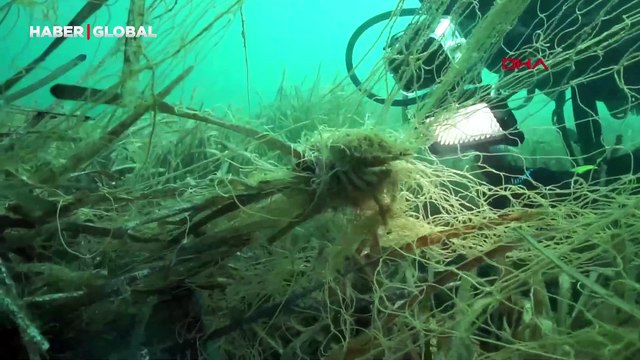Hayalet ağlar deniz ekosistemine böyle zarar veriyor: Su altı kamerasıyla görüntülendi