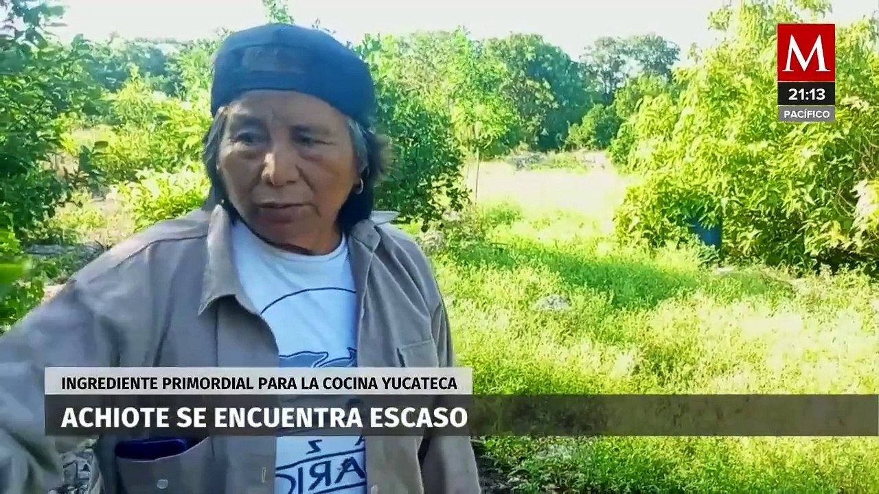 Milenio Noticias, con Fernando Robles, 14 de septiembre de 2024