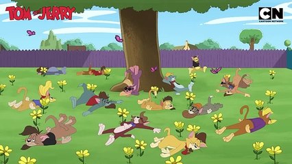 Tom and Jerry funny toons