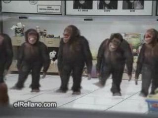 Danse Celte