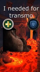 Transmo: Your Trusted Transportation Solution 🚚