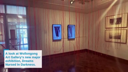 Dreams Nursed in Darkness at Wollongong Art Gallery│Illawarra Mercury│September 15, 2024