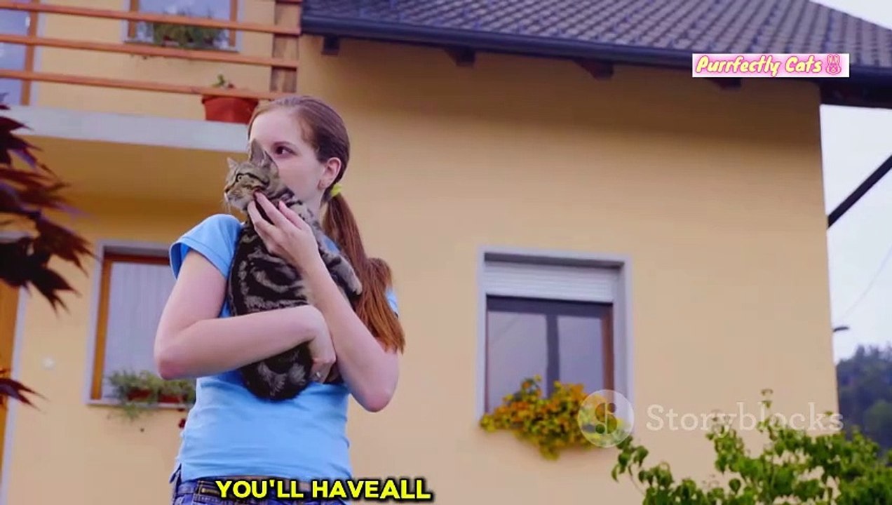 How to Introduce a New Cat to Your Home