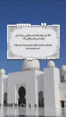 Best Quotes #shorts #shortvideo #shortsfeed #short #shortsviral #quran #video #viralvideo #islam