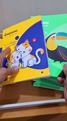 Success Paper Products single line dynamic notebooks 64gsm