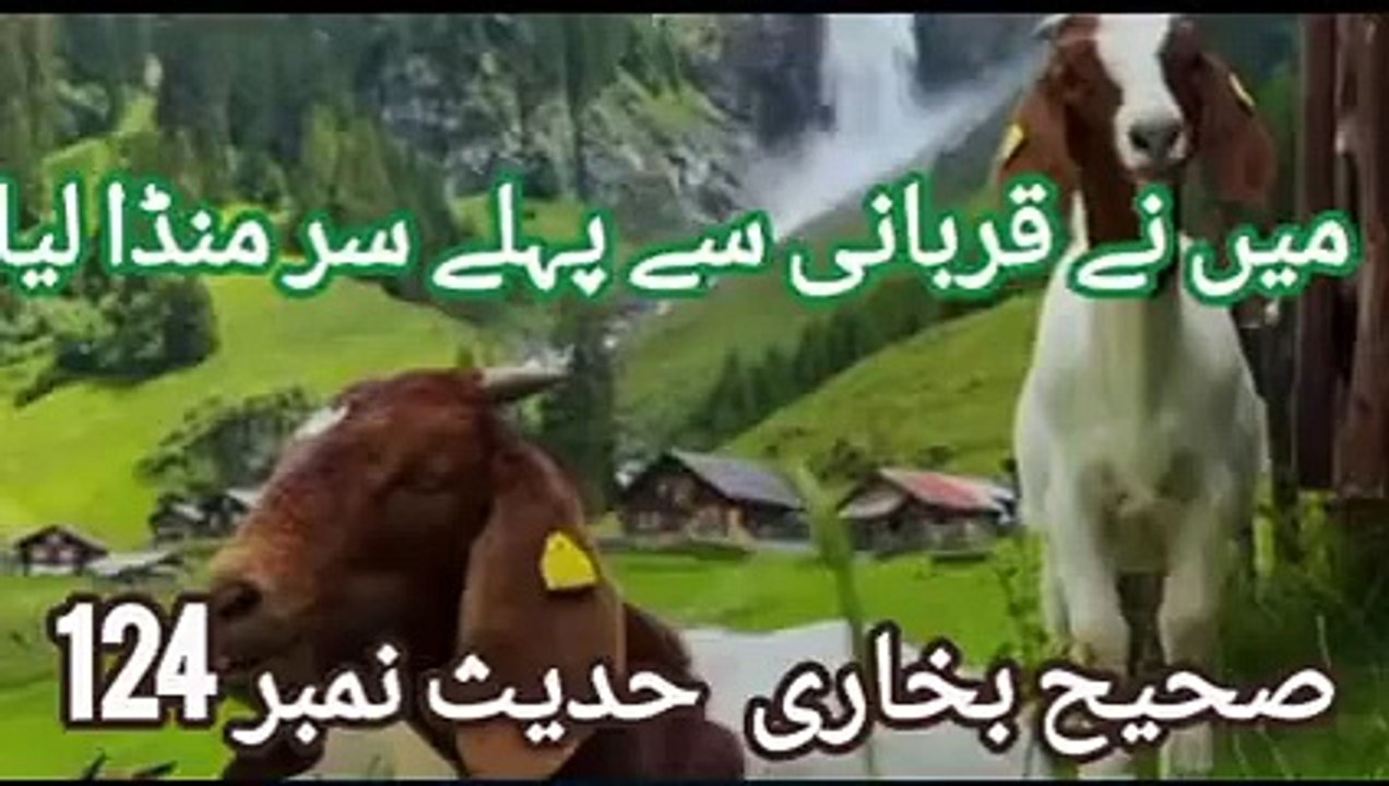 Sahih Bukhari Hadees no 124