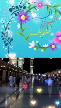 مولاي صلى وسلم دائما ابدا..كل عام وانتم بخير