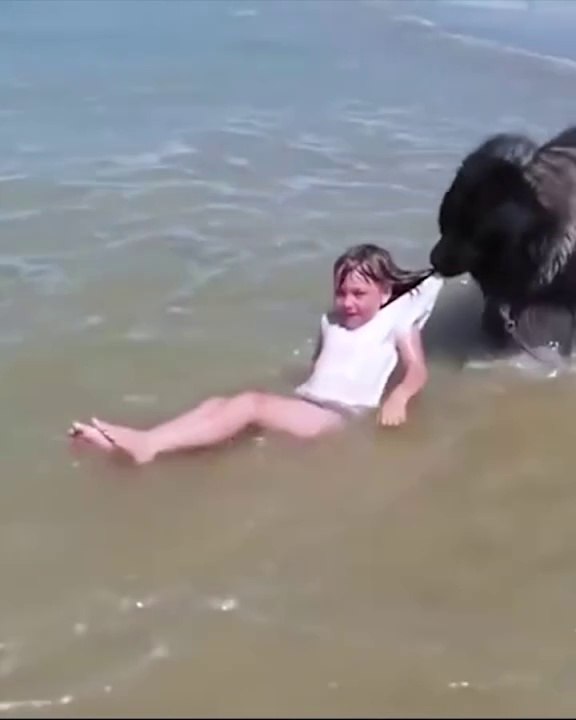 Funniest Animal Fails