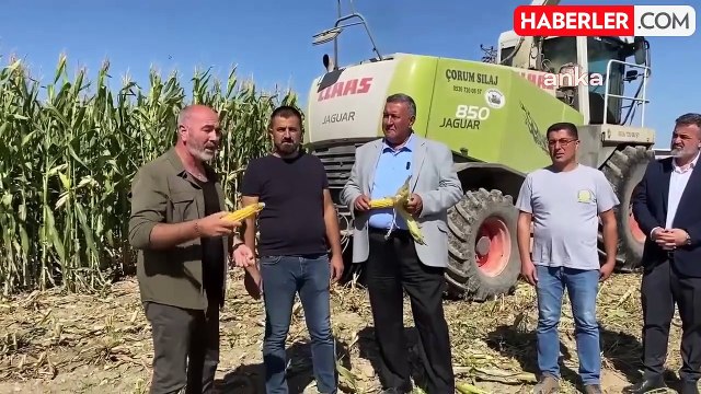 Niğde'de Mısır Üreticileri Zorlu Süreçten Geçiyor