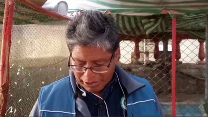 El ave que apareció en la puerta de una clínica en Oruro, se recupera en el bioparque