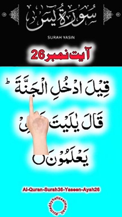 Al-Quran - Surah 36 - Yaseen - Ayah 26 | daily tilawat quran | hafiz salman ali