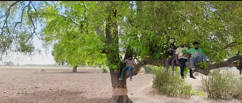 Frendo Gujarati Movie kuttymovies Filmyzilla filmywap