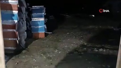 Ağrı’da arıcılık yapan emekli polis, tilkileri elleriyle besliyor