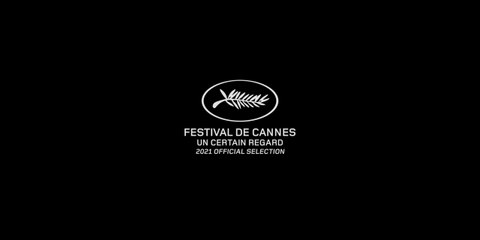 Stree 2 | New Hindi Horror Movie 2024 | Full Movie  Stree full movie