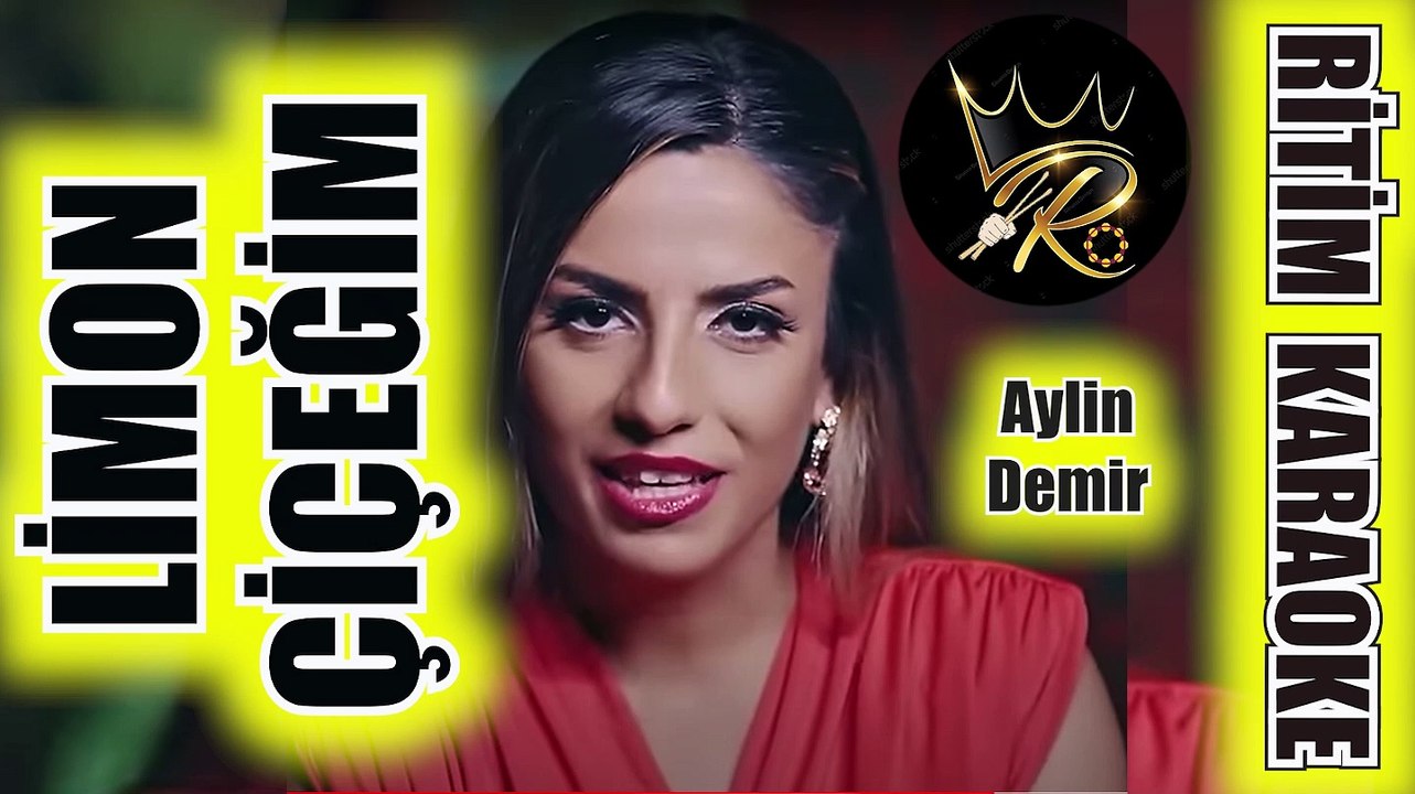 Limon Çiçeğim  - Aylin Demir ✩ Ritim Karaoke (Kürdi Minör 4/4 C Sebare Beste Tayfun Soydemir)