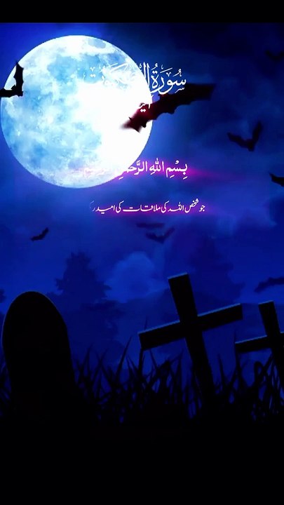 "Quran Verses for Spiritual Guidance"   4. "The Beauty of Quran Recitation"   5. "Short but Powerful: Quranic Insights"