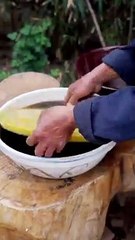 Real life style & art of living