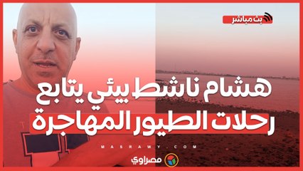 يرصدها بالصور.. هشام ناشط بيئي يتابع رحلات الطيور المهاجرة من أوروبا إفريقيا.