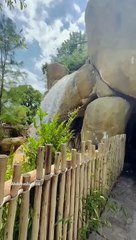 Zoo  Dallas Texas USA