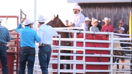 Cowboy faces tough challenge of subduing steer in stunning rodeo performance