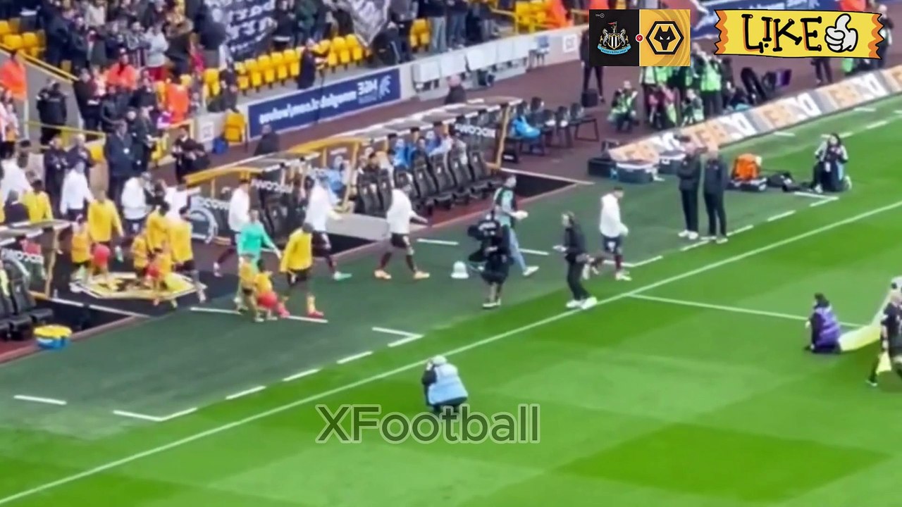 Wolves vs Newcastle United 1-2  Highlights Goals | Premier League EPL Football Match  - 2024/2025