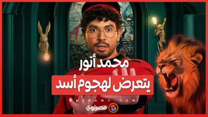 في كواليس 'ديبو' .. هجوم أسد على محمد أنور يثير الرعب