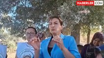 CHP Milletvekili Kara: Taşocağı Faaliyetleri Sağlığımızı Tehdit Ediyor